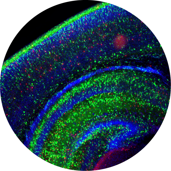 Generic placeholder image